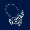 Sigur Rós - Ágætis byrjun CD